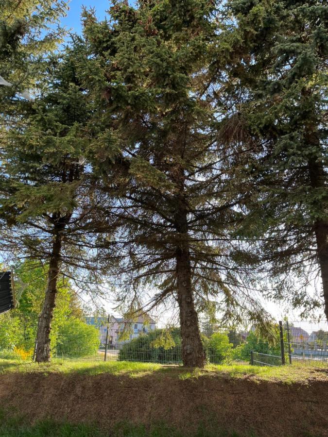 Apartament Pod Swierkiem Jastrzębia Góra Exteriér fotografie